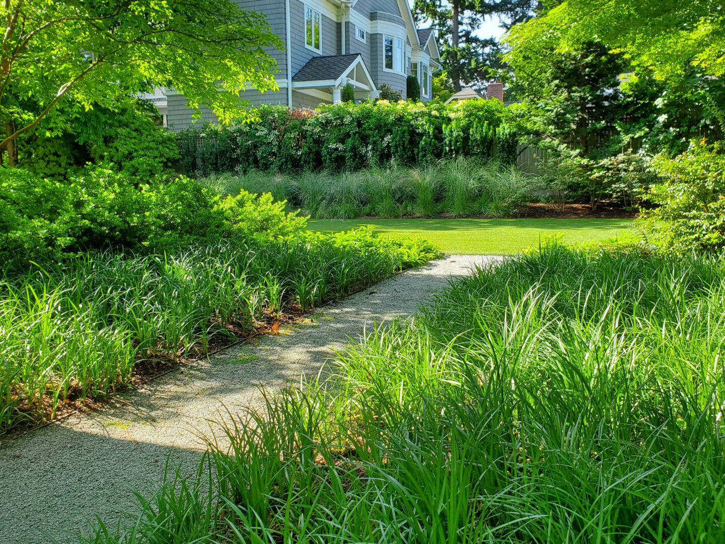 A path in the middle of a garden